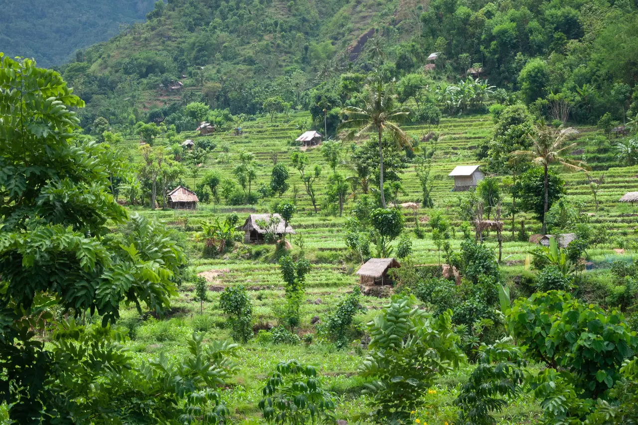 Indonesia